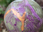 Polished Mixed Multi Mineral Spheres x 2 From Madagascar - Toprock Gemstones and Minerals 