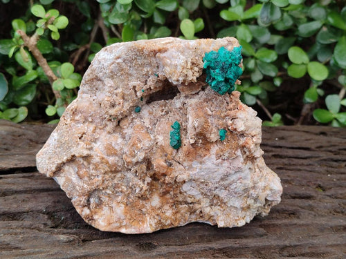 Natural Large Dioptase Specimen with Feldspar x 1 From Kaokoveld Namibia - Toprock Gemstones and Minerals 