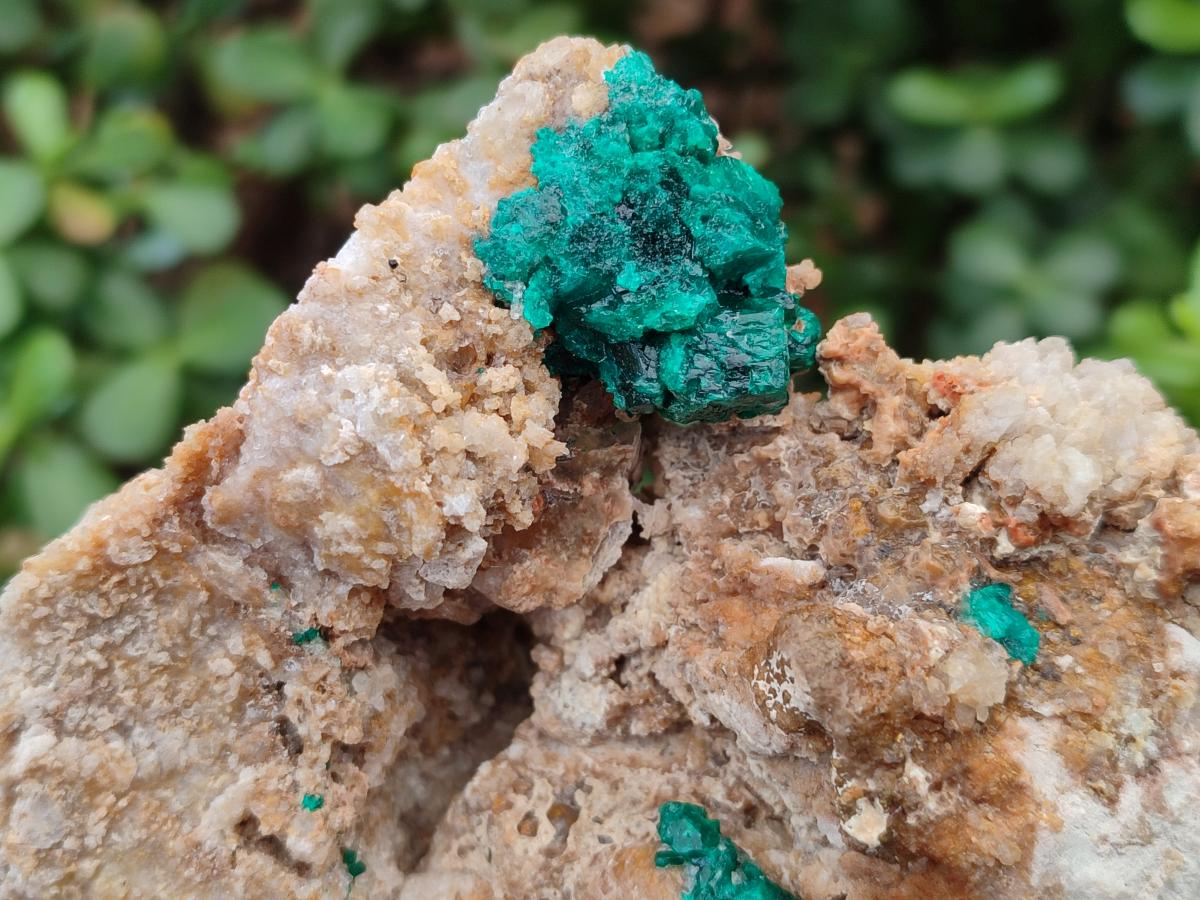 Natural Large Dioptase Specimen with Feldspar x 1 From Kaokoveld Namibia - Toprock Gemstones and Minerals 
