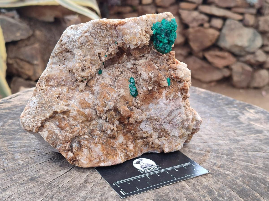 Natural Large Dioptase Specimen with Feldspar x 1 From Kaokoveld Namibia - Toprock Gemstones and Minerals 