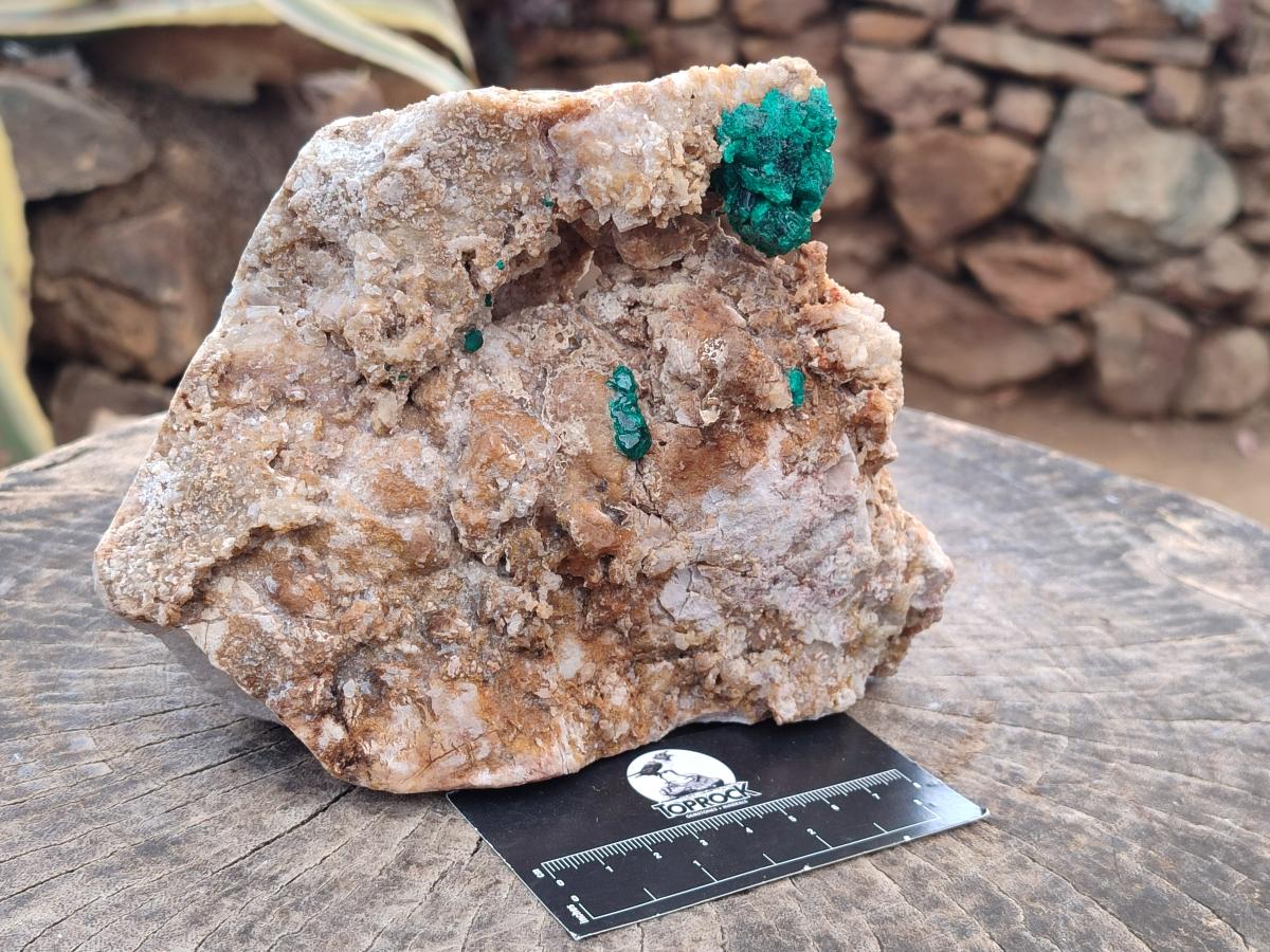 Natural Large Dioptase Specimen with Feldspar x 1 From Kaokoveld Namibia - Toprock Gemstones and Minerals 