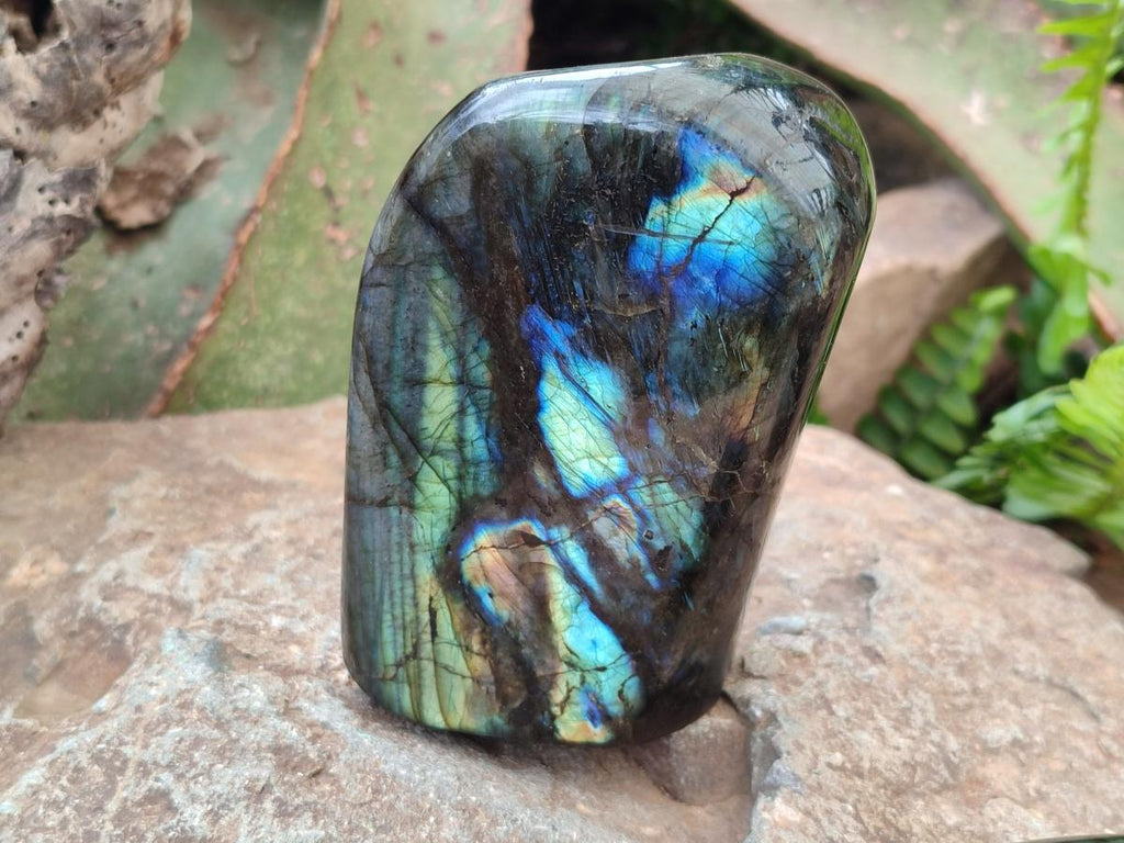 Polished Labradorite Standing Display Pieces x 3 From Madagascar - Toprock Gemstones and Minerals 