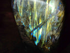 Polished Labradorite Standing Display Pieces x 3 From Madagascar - Toprock Gemstones and Minerals 
