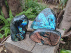 Polished Labradorite Standing Display Pieces x 3 From Madagascar - Toprock Gemstones and Minerals 