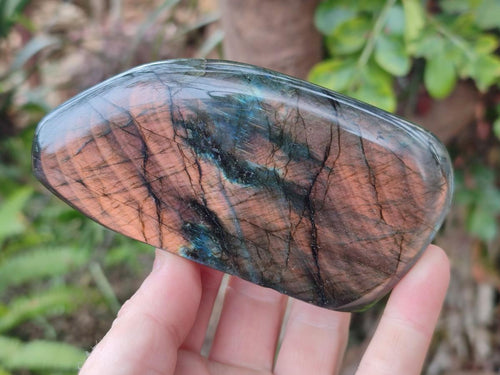 Polished Labradorite Standing Display Pieces x 3 From Madagascar - Toprock Gemstones and Minerals 