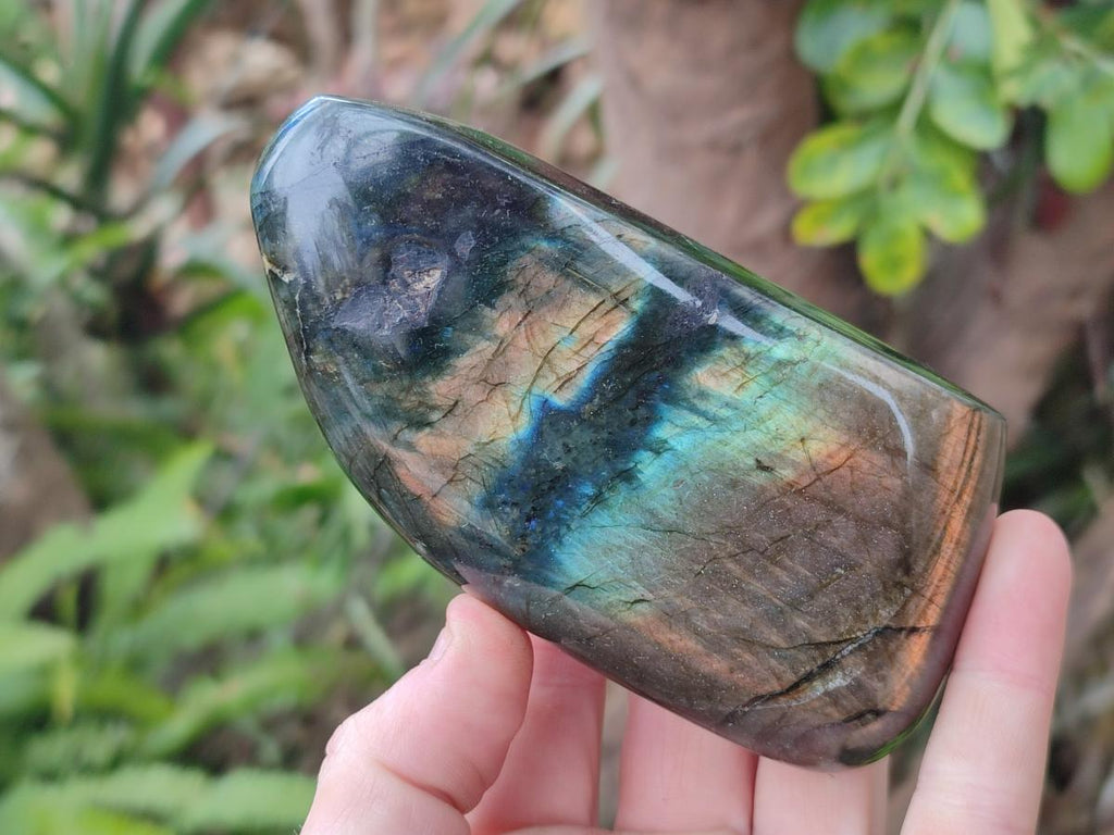 Polished Labradorite Standing Display Pieces x 3 From Madagascar - Toprock Gemstones and Minerals 