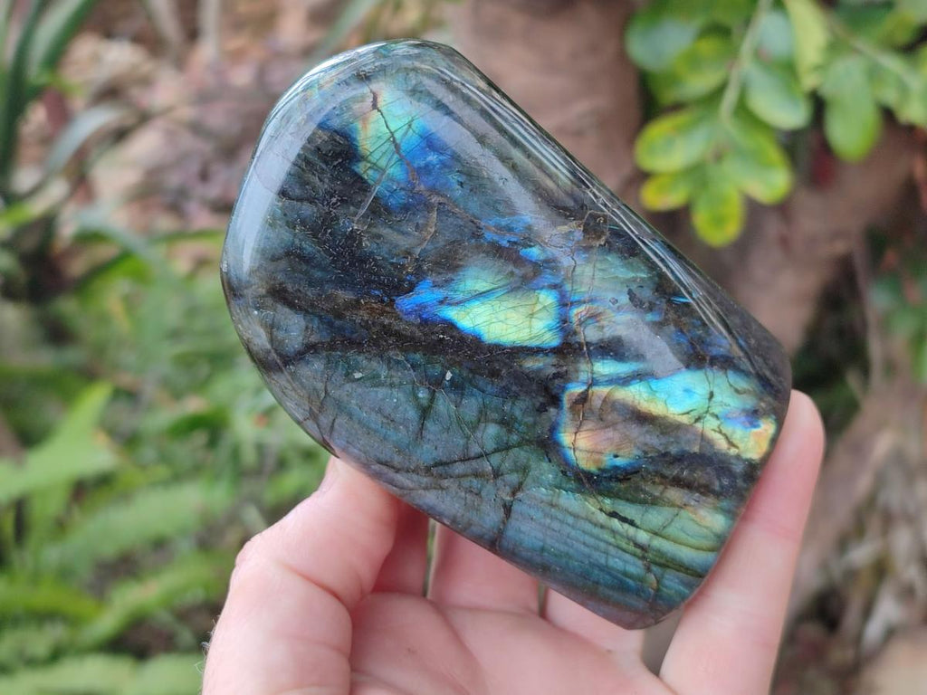 Polished Labradorite Standing Display Pieces x 3 From Madagascar - Toprock Gemstones and Minerals 