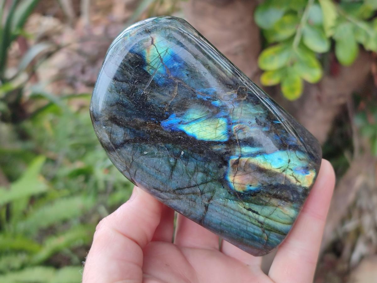 Polished Labradorite Standing Display Pieces x 3 From Madagascar - Toprock Gemstones and Minerals 