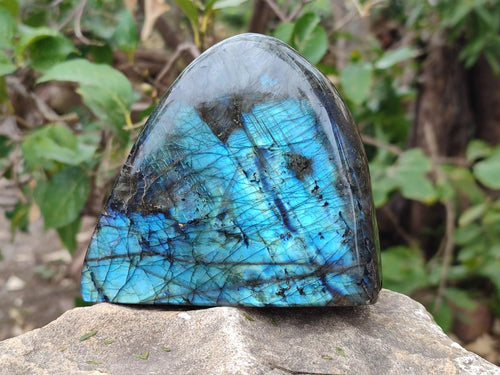Polished Labradorite Standing Display Pieces x 3 From Madagascar - Toprock Gemstones and Minerals 