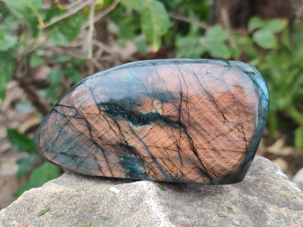 Polished Labradorite Standing Display Pieces x 3 From Madagascar - Toprock Gemstones and Minerals 