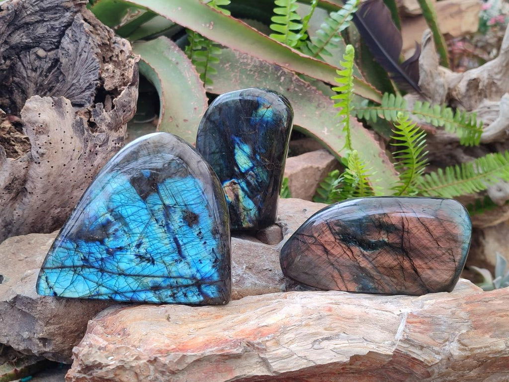 Polished Labradorite Standing Display Pieces x 3 From Madagascar - Toprock Gemstones and Minerals 
