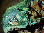 Natural Large Rare Malachite Pseudomorph Specimen with Associated x 1 From Luputo, Congo - Toprock Gemstones and Minerals 