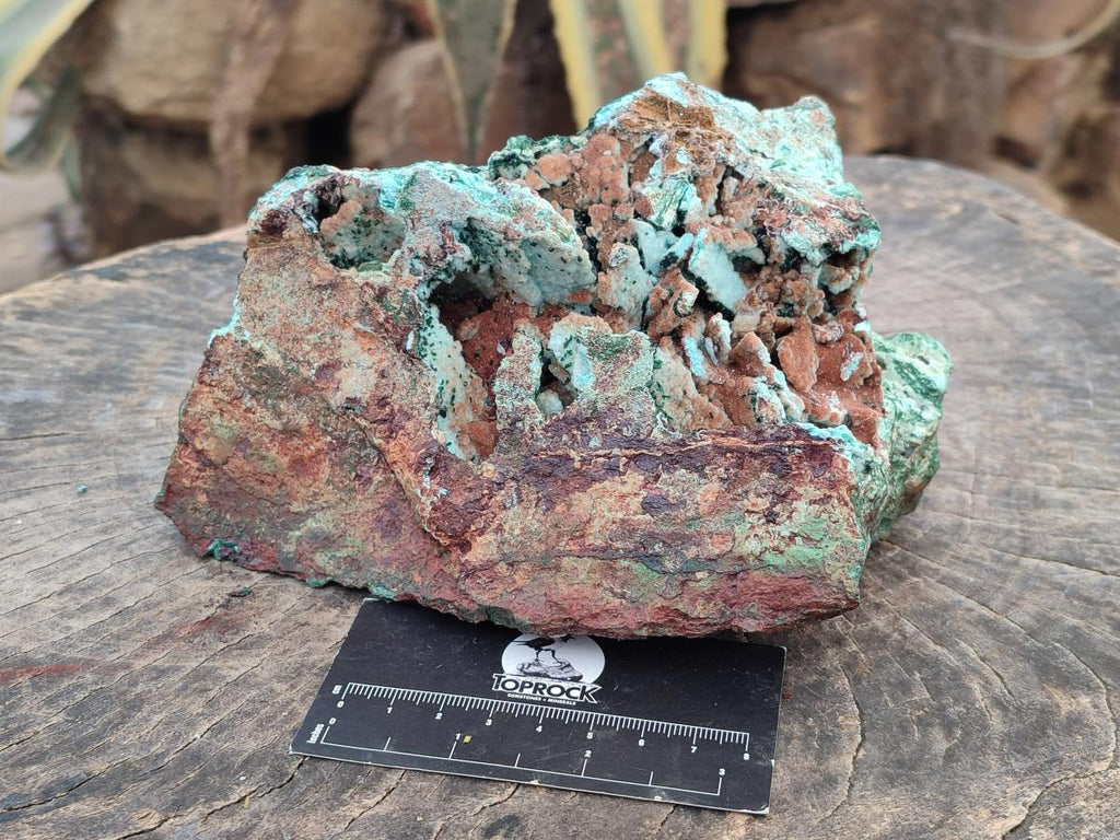 Natural Large Rare Malachite Pseudomorph Specimen with Associated x 1 From Luputo, Congo - Toprock Gemstones and Minerals 