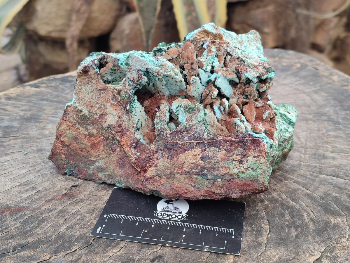 Natural Large Rare Malachite Pseudomorph Specimen with Associated x 1 From Luputo, Congo - Toprock Gemstones and Minerals 
