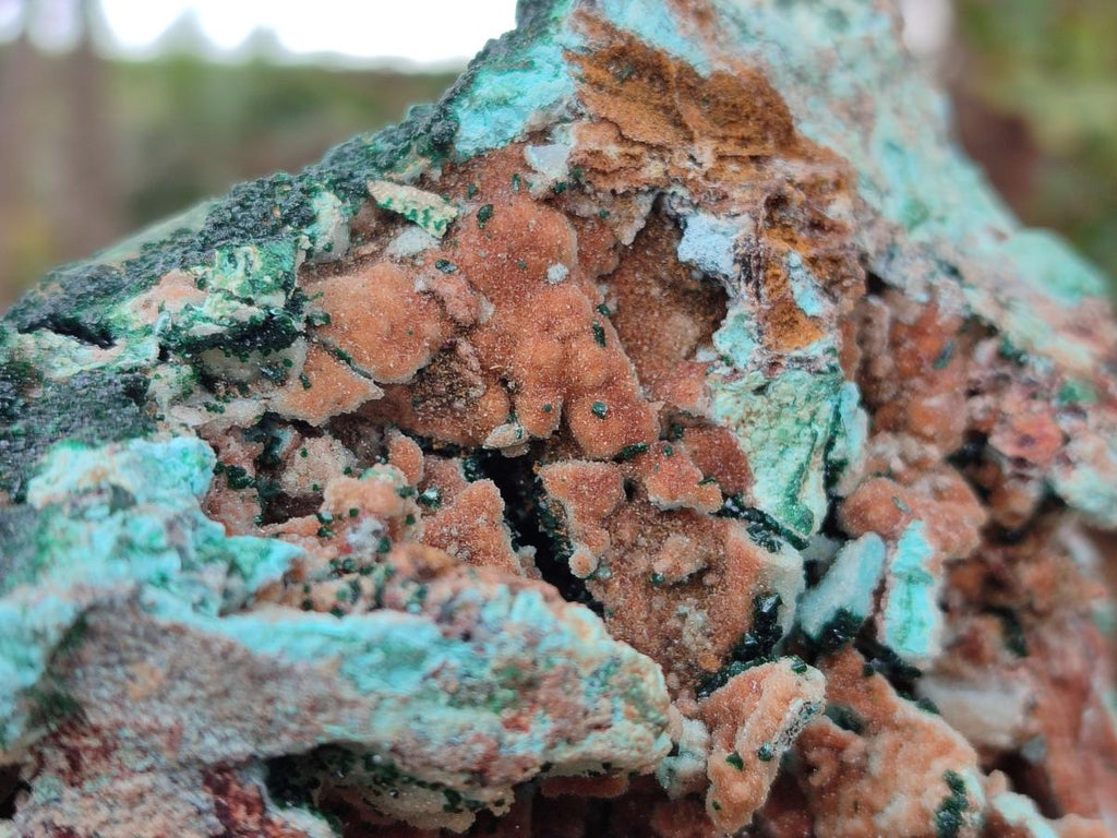 Natural Large Rare Malachite Pseudomorph Specimen with Associated x 1 From Luputo, Congo - Toprock Gemstones and Minerals 