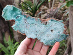 Polished One Side Great Dyke Mtorolite Chrysoprase Slices x 6 From Great Dyke Mountain Range, Zimbabwe - Toprock Gemstones and Minerals 