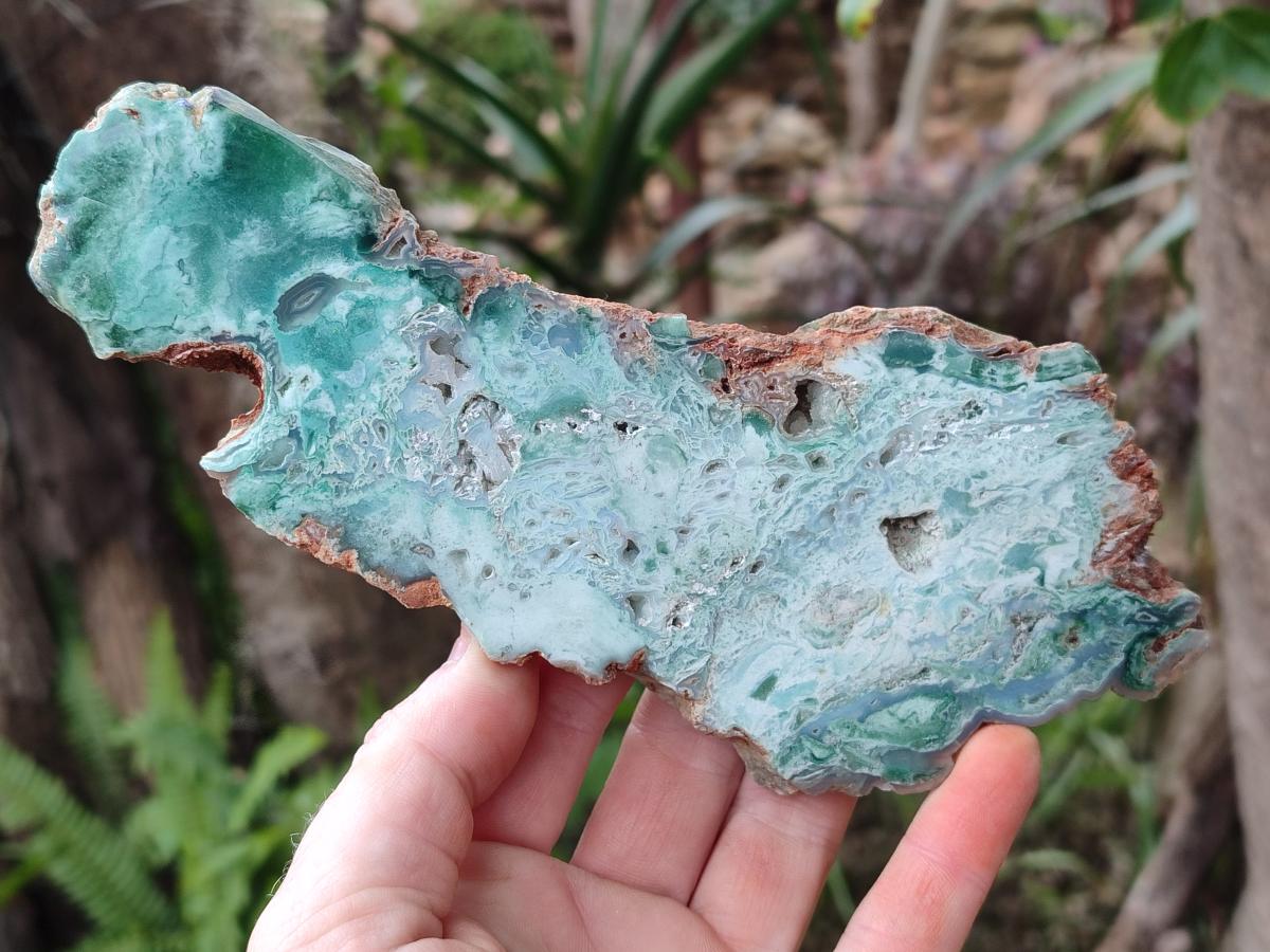 Polished One Side Great Dyke Mtorolite Chrysoprase Slices x 6 From Great Dyke Mountain Range, Zimbabwe - Toprock Gemstones and Minerals 