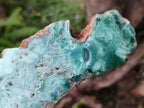 Polished One Side Great Dyke Mtorolite Chrysoprase Slices x 6 From Great Dyke Mountain Range, Zimbabwe - Toprock Gemstones and Minerals 