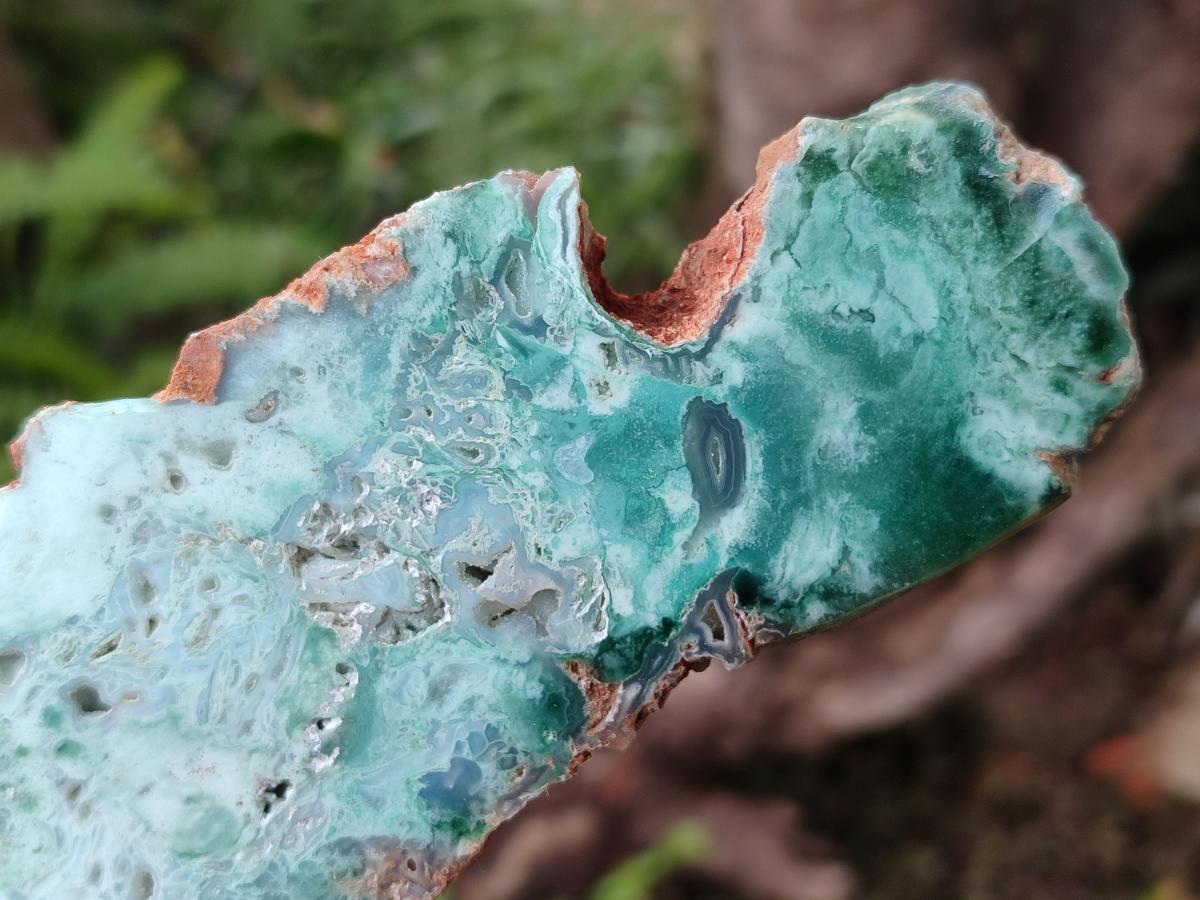 Polished One Side Great Dyke Mtorolite Chrysoprase Slices x 6 From Great Dyke Mountain Range, Zimbabwe - Toprock Gemstones and Minerals 