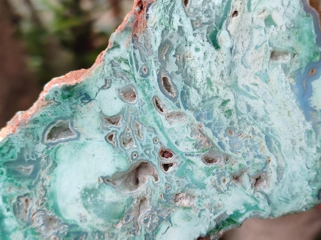 Polished One Side Great Dyke Mtorolite Chrysoprase Slices x 6 From Great Dyke Mountain Range, Zimbabwe - Toprock Gemstones and Minerals 