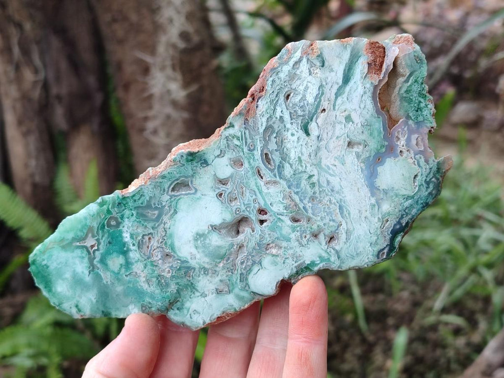 Polished One Side Great Dyke Mtorolite Chrysoprase Slices x 6 From Great Dyke Mountain Range, Zimbabwe - Toprock Gemstones and Minerals 