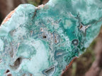 Polished One Side Great Dyke Mtorolite Chrysoprase Slices x 6 From Great Dyke Mountain Range, Zimbabwe - Toprock Gemstones and Minerals 