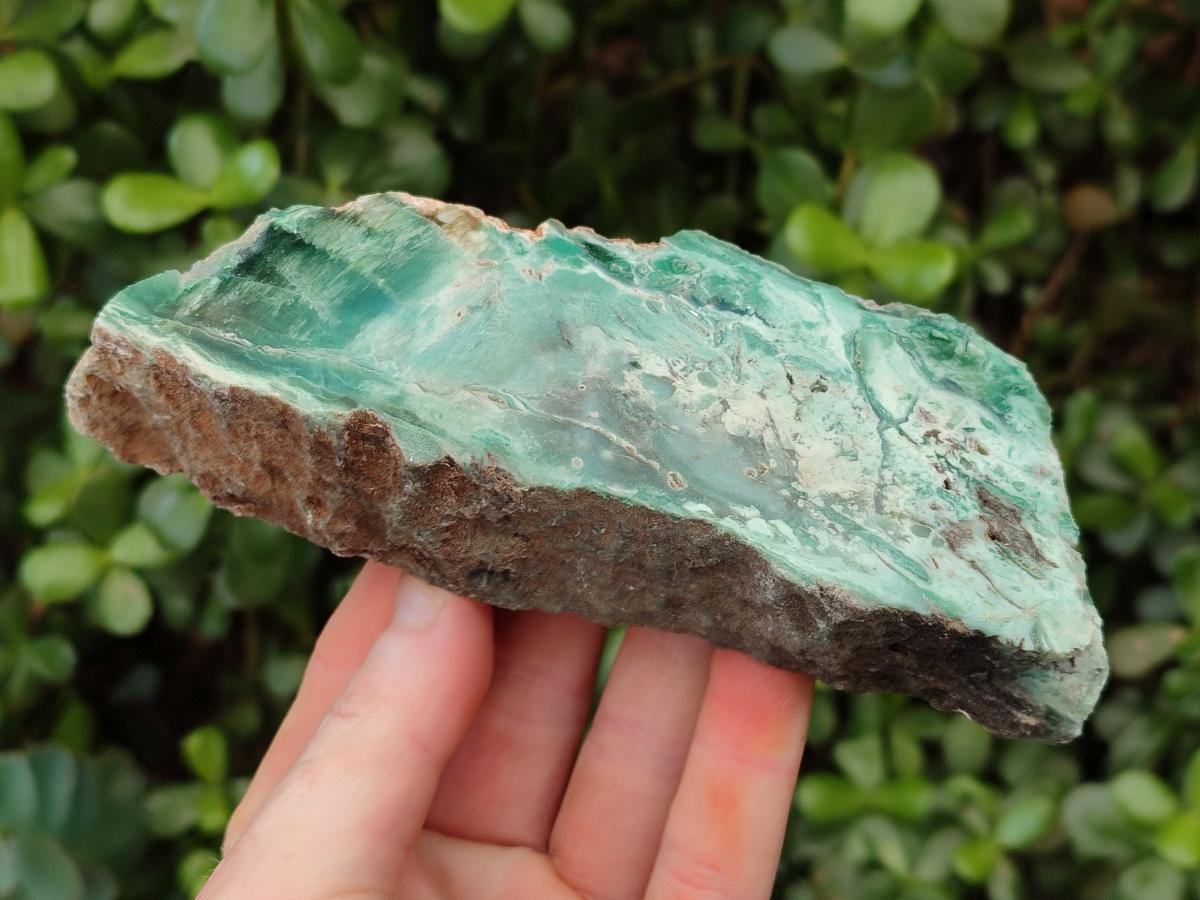 Polished One Side Great Dyke Mtorolite Chrysoprase Slices x 6 From Great Dyke Mountain Range, Zimbabwe - Toprock Gemstones and Minerals 