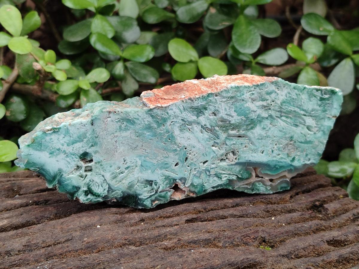 Polished One Side Great Dyke Mtorolite Chrysoprase Slices x 6 From Great Dyke Mountain Range, Zimbabwe - Toprock Gemstones and Minerals 