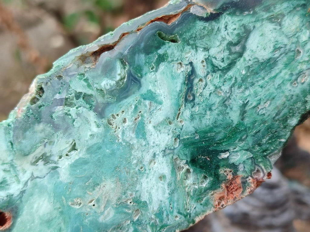 Polished One Side Great Dyke Mtorolite Chrysoprase Slices x 6 From Great Dyke Mountain Range, Zimbabwe - Toprock Gemstones and Minerals 