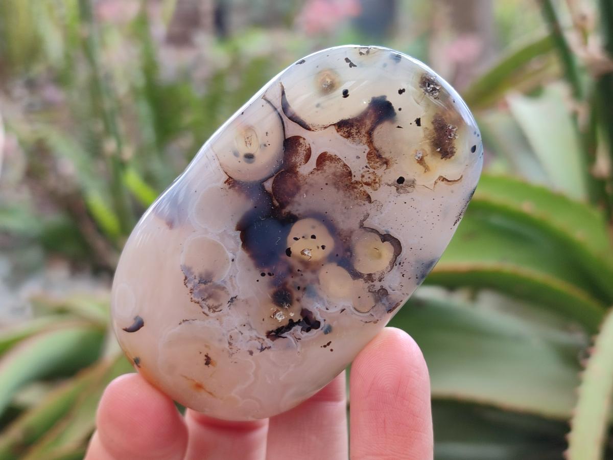 Polished Mixed Multi Mineral Galets x 12 From Southern Africa - Toprock Gemstones and Minerals 