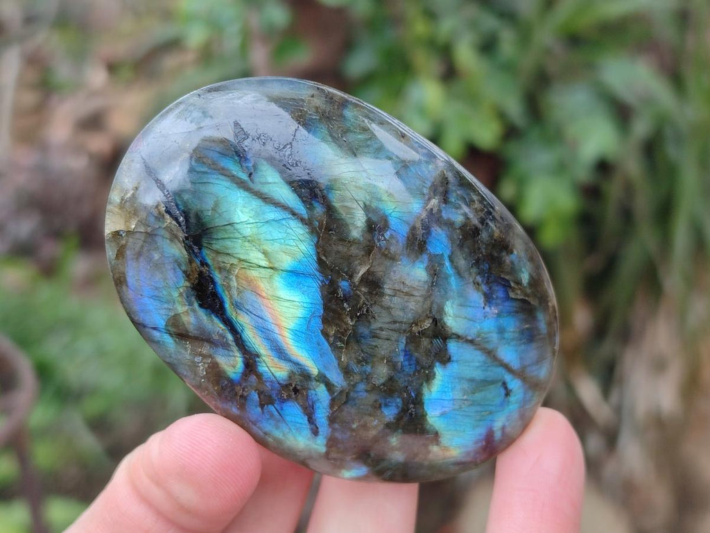 Polished Mixed Multi Mineral Galets x 12 From Southern Africa - Toprock Gemstones and Minerals 