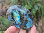 Polished Mixed Multi Mineral Galets x 12 From Southern Africa - Toprock Gemstones and Minerals 