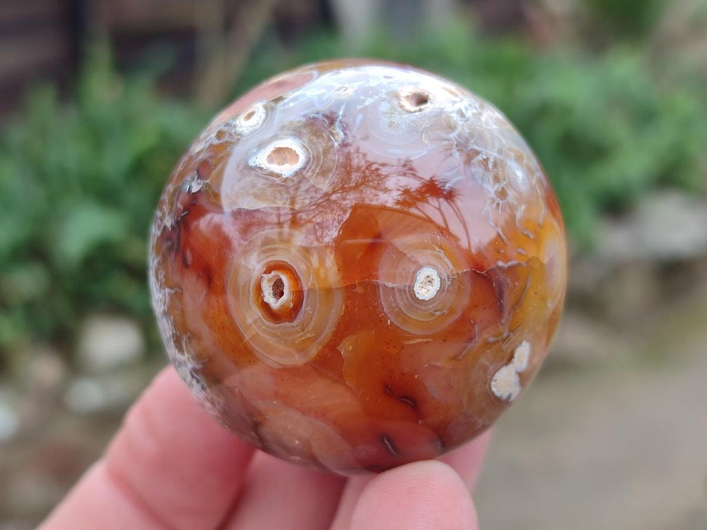 Polished and Natural Carnelian Agate Gemstone Spheres x 6 From Madagascar - Toprock Gemstones and Minerals 