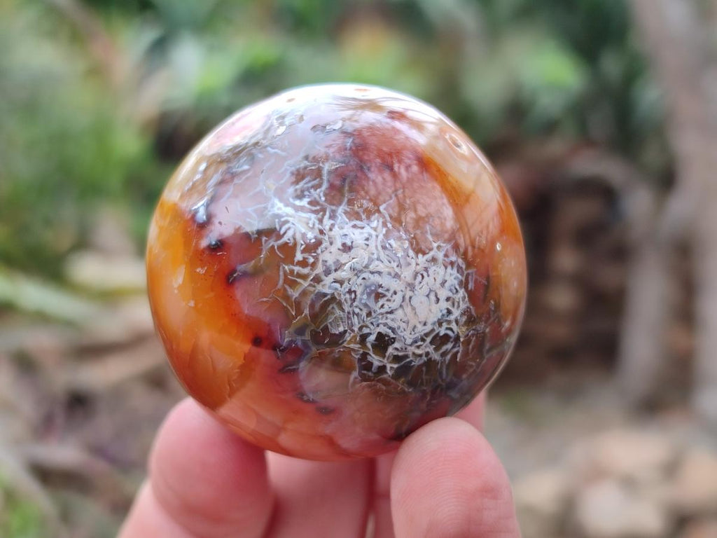 Polished and Natural Carnelian Agate Gemstone Spheres x 6 From Madagascar - Toprock Gemstones and Minerals 