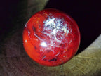 Polished and Natural Carnelian Agate Gemstone Spheres x 6 From Madagascar - Toprock Gemstones and Minerals 