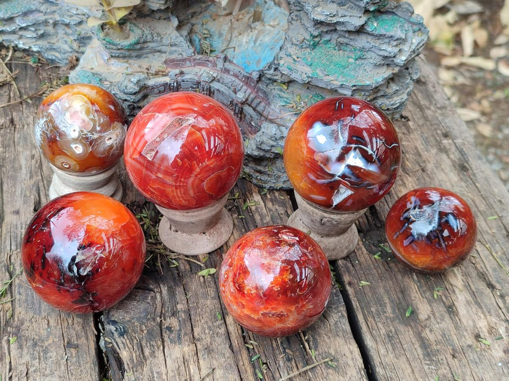 Polished and Natural Carnelian Agate Gemstone Spheres x 6 From Madagascar - Toprock Gemstones and Minerals 