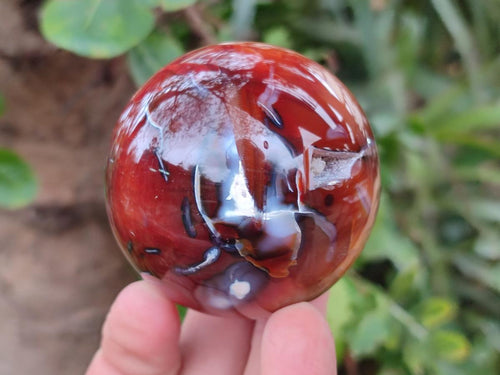 Polished and Natural Carnelian Agate Gemstone Spheres x 6 From Madagascar - Toprock Gemstones and Minerals 