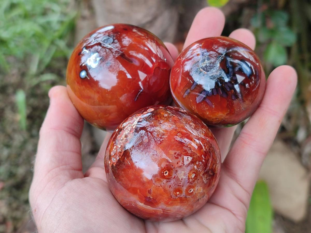 Polished and Natural Carnelian Agate Gemstone Spheres x 6 From Madagascar - Toprock Gemstones and Minerals 
