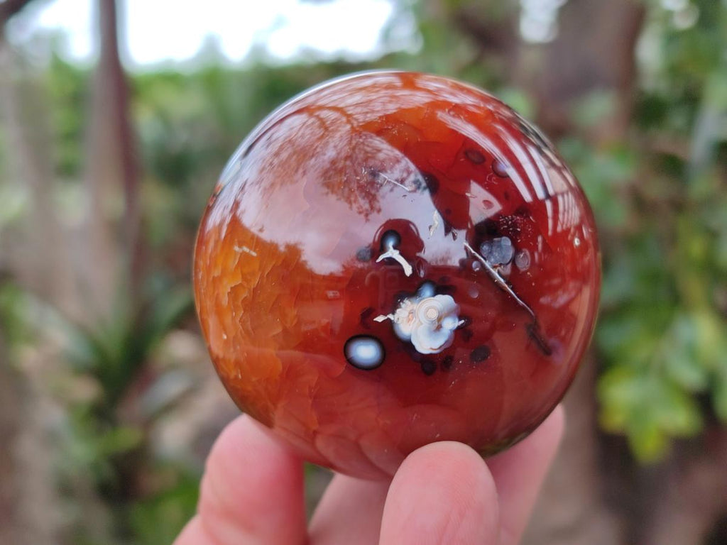 Polished and Natural Carnelian Agate Gemstone Spheres x 6 From Madagascar - Toprock Gemstones and Minerals 