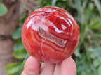 Polished and Natural Carnelian Agate Gemstone Spheres x 6 From Madagascar - Toprock Gemstones and Minerals 