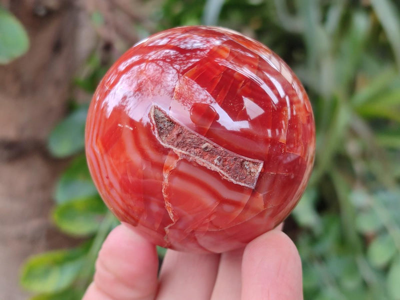 Polished and Natural Carnelian Agate Gemstone Spheres x 6 From Madagascar - Toprock Gemstones and Minerals 