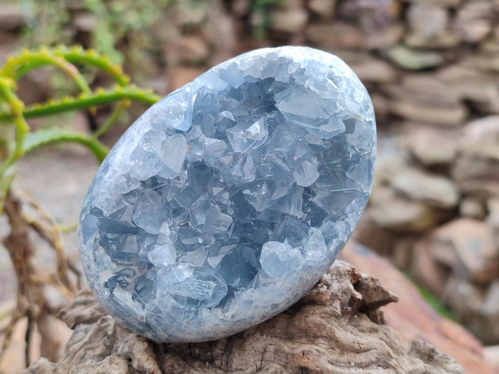 Polished and Natural Blue Celestite Free Forms x 4 From Sakoany, Madagascar - Toprock Gemstones and Minerals 