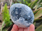 Polished and Natural Blue Celestite Free Forms x 4 From Sakoany, Madagascar - Toprock Gemstones and Minerals 
