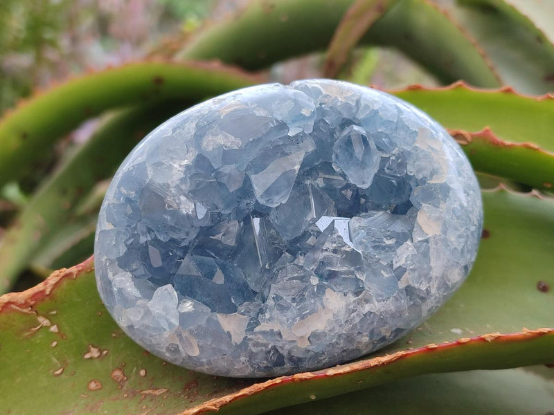 Polished and Natural Blue Celestite Free Forms x 4 From Sakoany, Madagascar - Toprock Gemstones and Minerals 