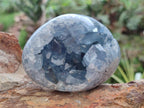 Polished and Natural Blue Celestite Free Forms x 4 From Sakoany, Madagascar - Toprock Gemstones and Minerals 