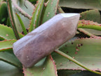 Polished Rose Girasol Pearl Quartz Crystals x 3 From Ambatondrazaka, Madagascar - Toprock Gemstones and Minerals 