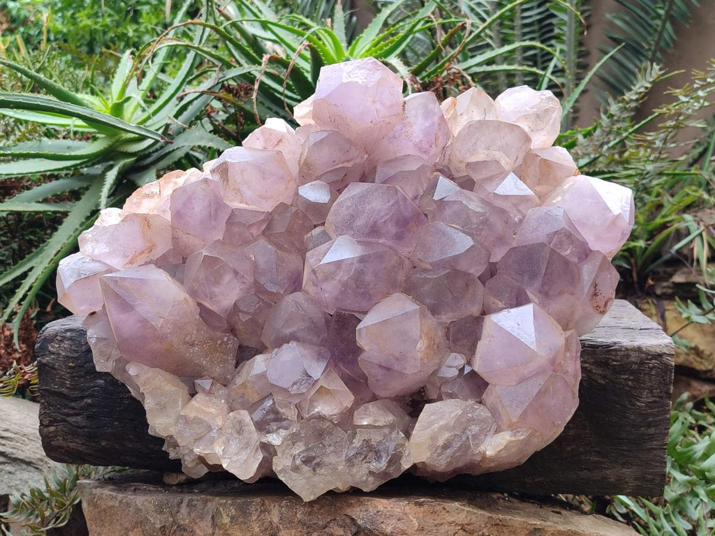 Natural XXL Jacaranda Amethyst Cluster x 1 From Mumbwa, Zambia - Toprock Gemstones and Minerals 