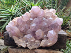 Natural XXL Jacaranda Amethyst Cluster x 1 From Mumbwa, Zambia - Toprock Gemstones and Minerals 