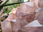 Natural XXL Jacaranda Amethyst Cluster x 1 From Mumbwa, Zambia - Toprock Gemstones and Minerals 