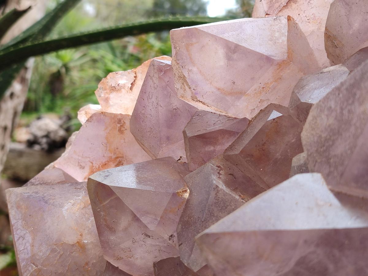 Natural XXL Jacaranda Amethyst Cluster x 1 From Mumbwa, Zambia - Toprock Gemstones and Minerals 